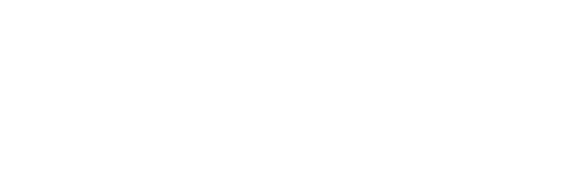 mint capital